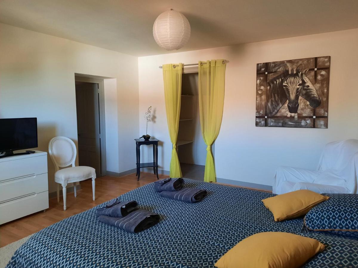 Grand Appartement Tout Confort Proche De Chambord Saint-Claude-de-Diray Zewnętrze zdjęcie