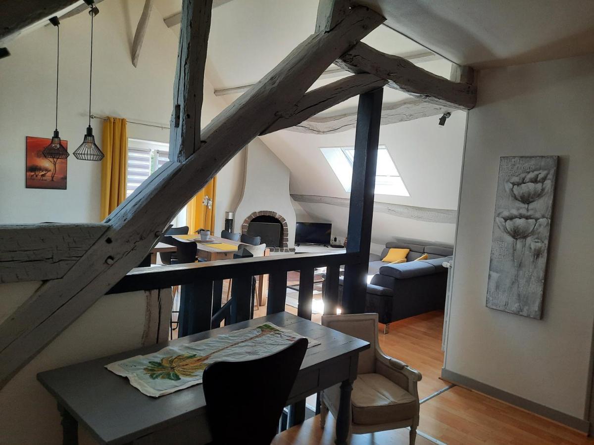 Grand Appartement Tout Confort Proche De Chambord Saint-Claude-de-Diray Zewnętrze zdjęcie